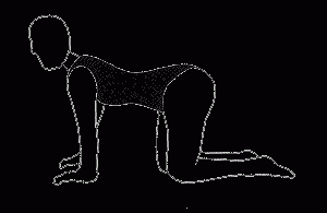 back-stretching-fourpoint-kneel-ext
