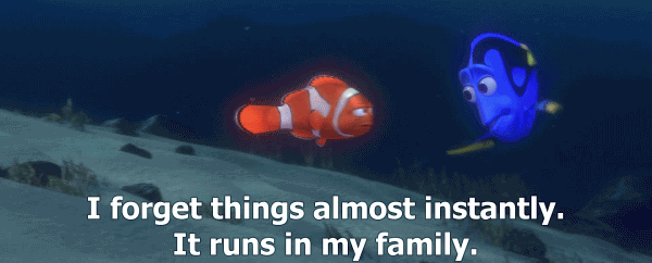 6360195481406375851241790055_Dory Short term