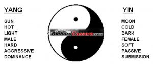 yin-yang