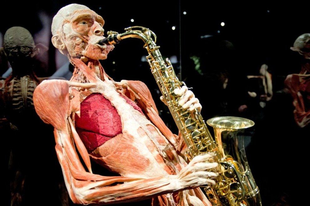 p-Body-Worlds--The-Happiness-Project_54_990x660_201406012156