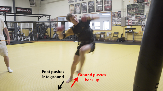 mma-side-kick-2.1