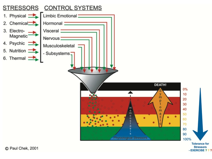 StressorDiagram