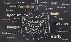 candida