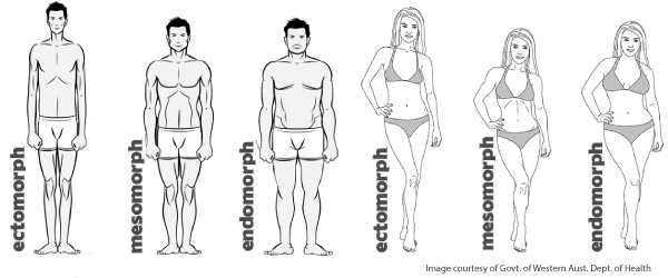 ectomorph-body-type-2