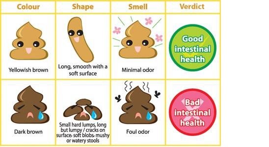 good-health-bad-health1