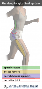 deep_longitudinal_system