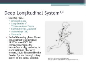 functional-training-for-lbp-20-638