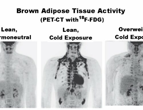 Does cold-water therapy purposely block weight gain as you age?
