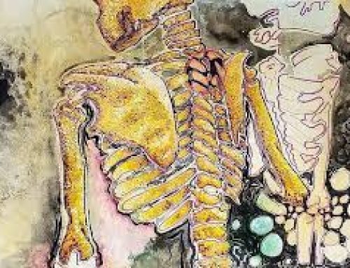 Why most lower back pain problems have no known cause!