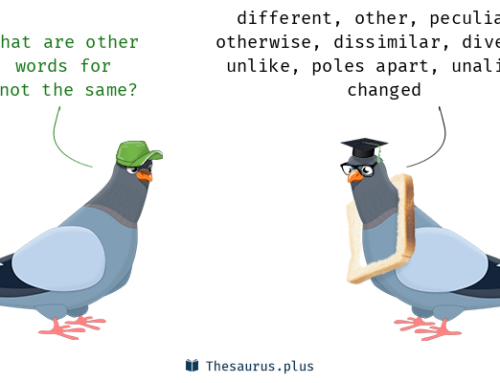 Not all Pilates is created the same!