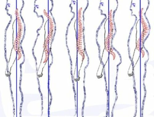 8 reasons to invest in your spine!